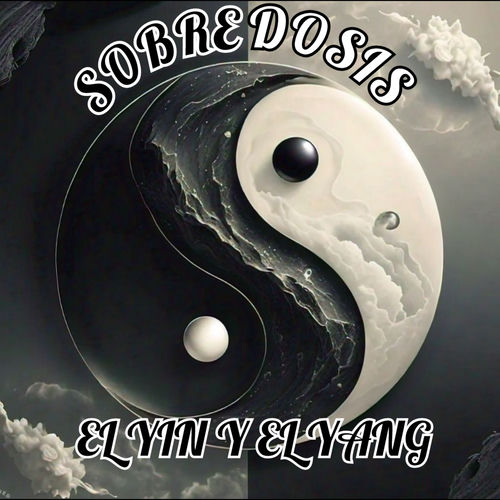 El Yin Y EL Yang sleeve
