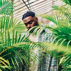 Cover of The Greenhouse Project