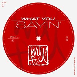 Cover of What You Sayin'