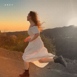 Cover of Grey