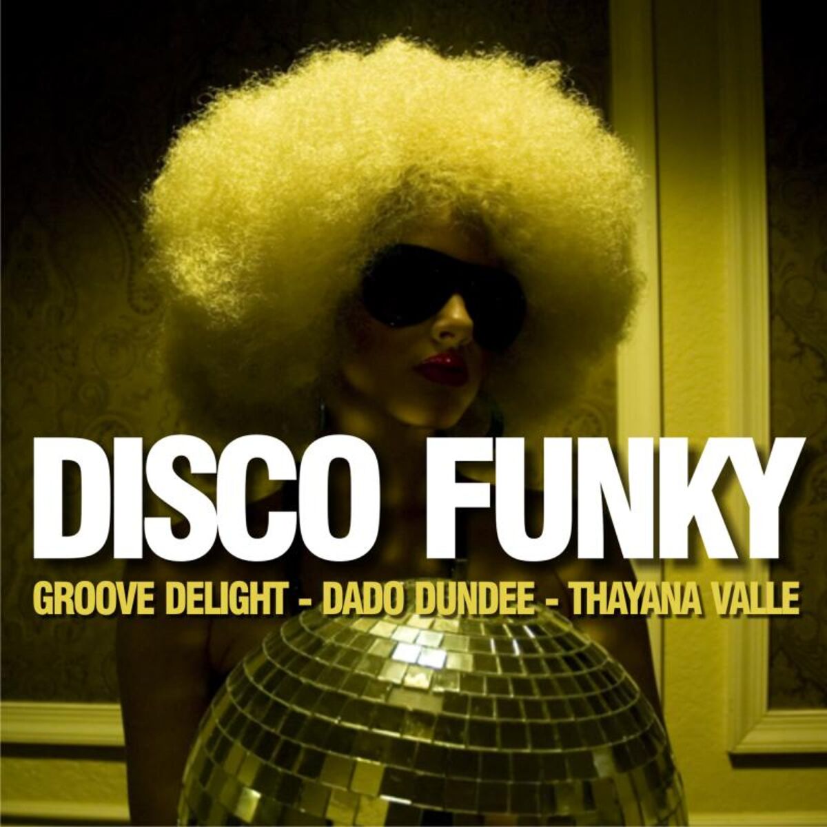 Album cover of Disco Funky