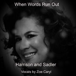 Cover of When Words Run Out