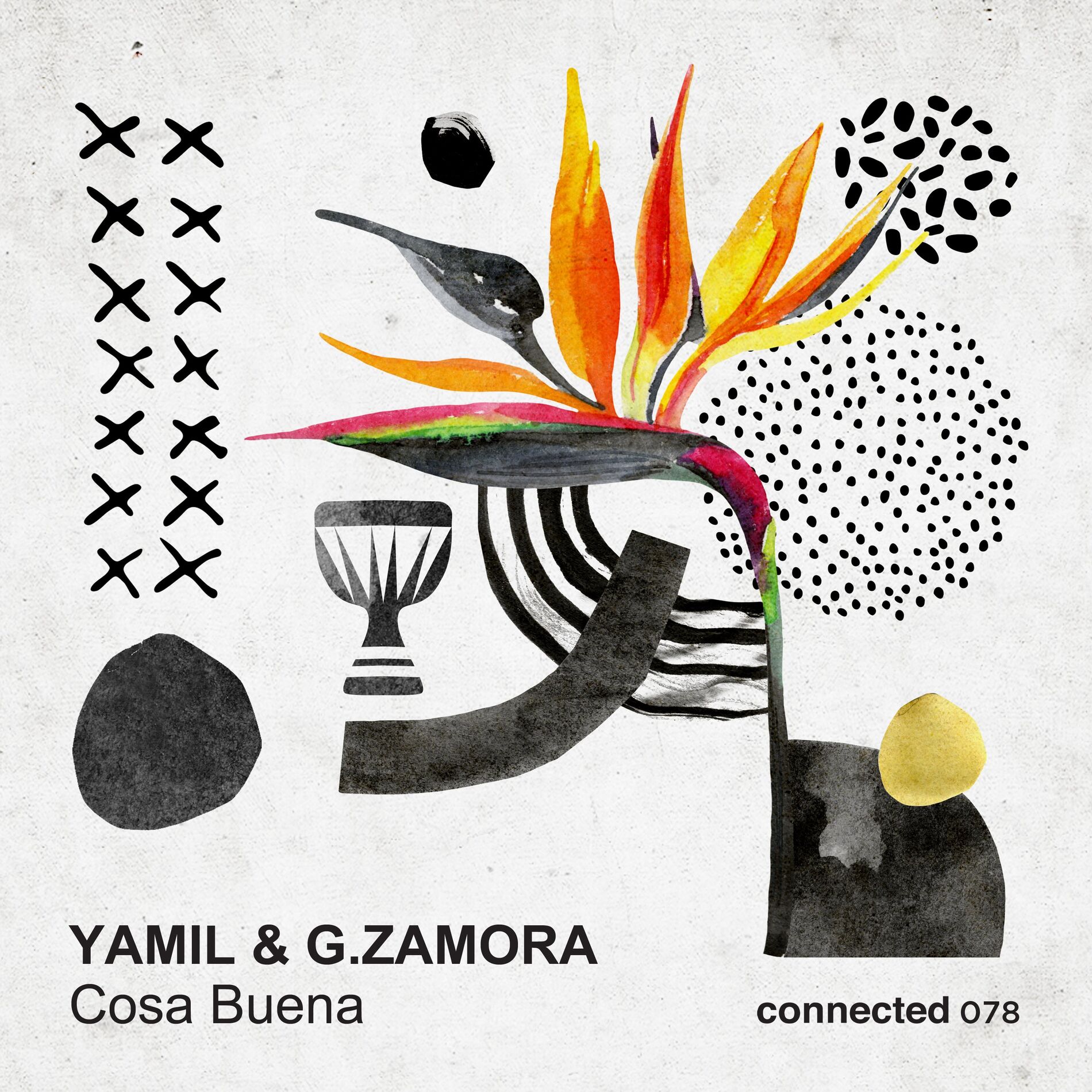 Album cover of Cosa Buena