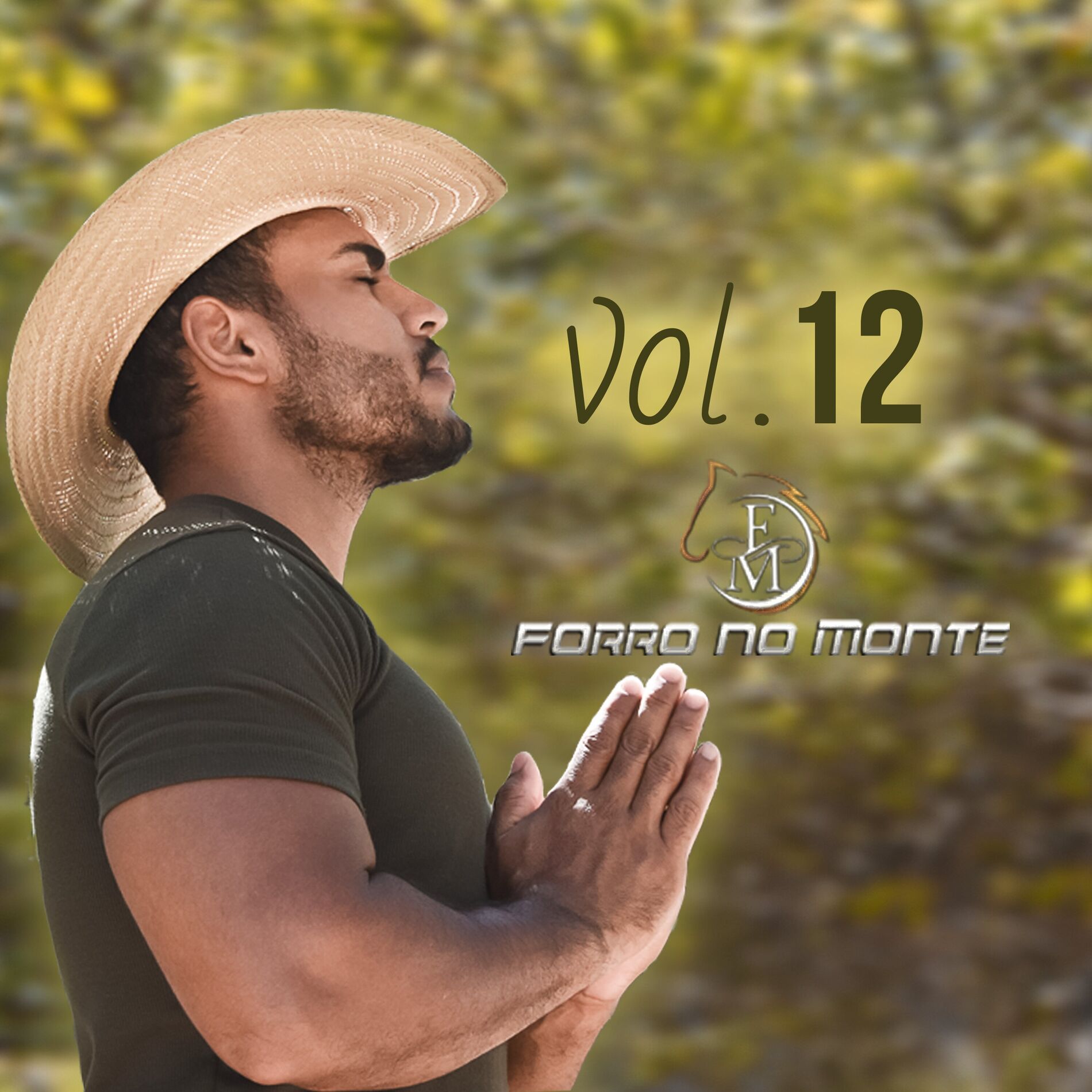 Album cover of Forró no Monte, Vol. 12