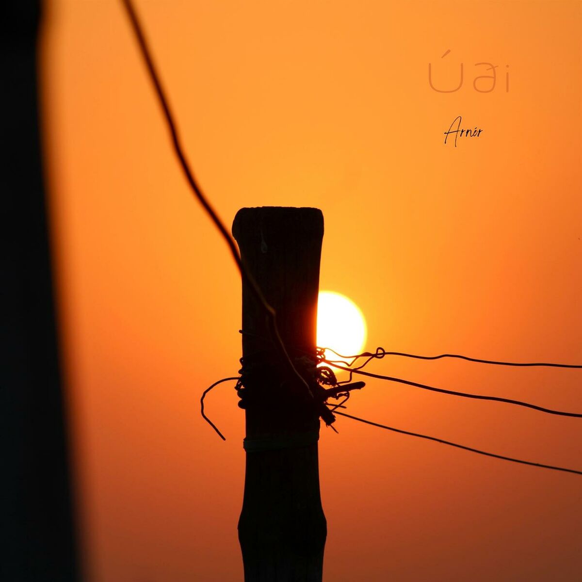 Album cover of ÚðI