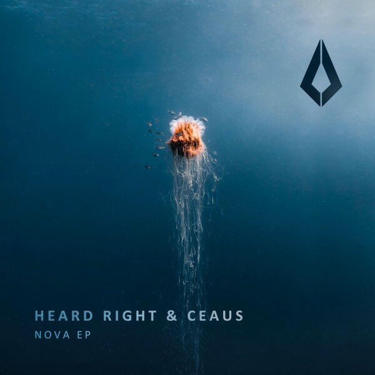 Album cover of Nova