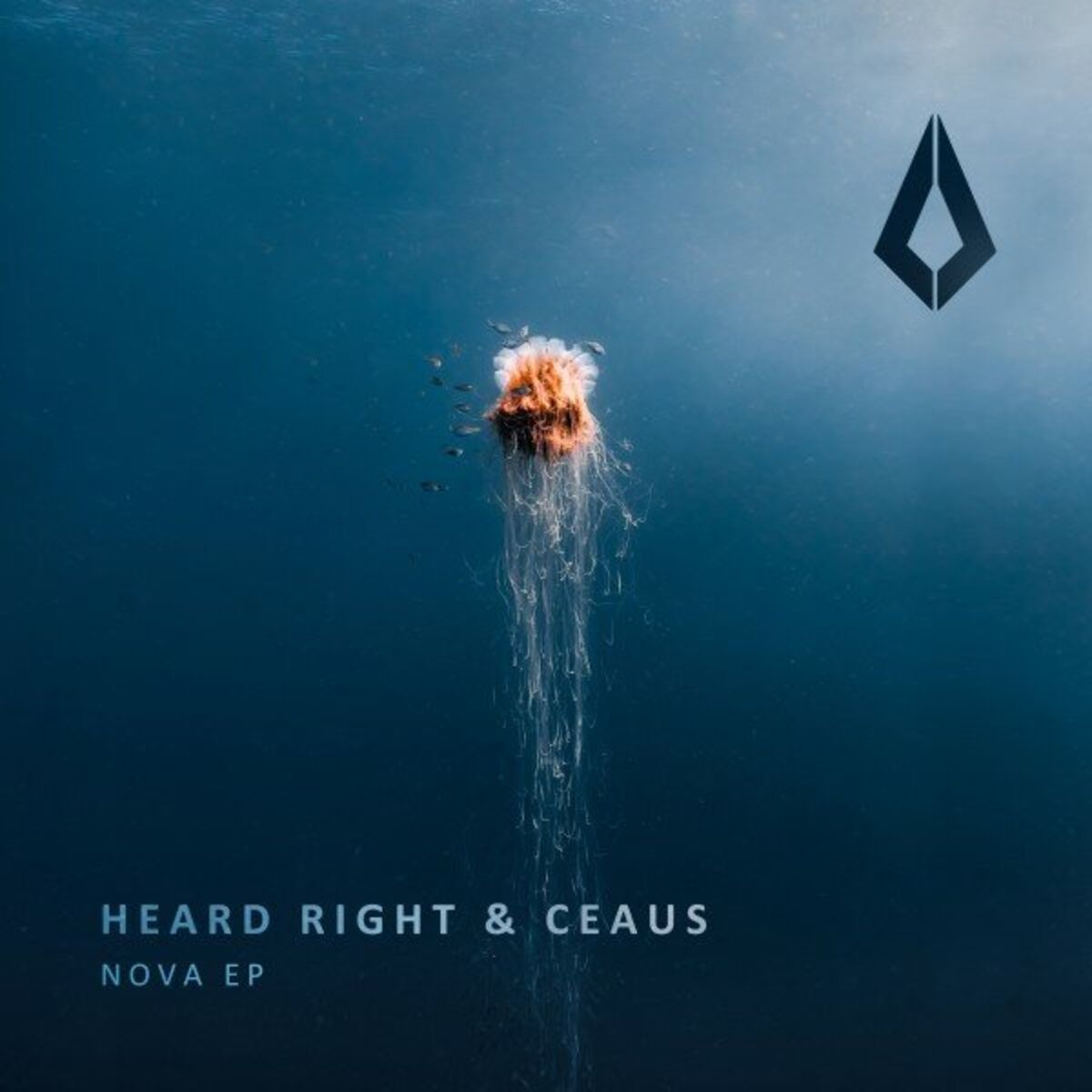 Album cover of Nova