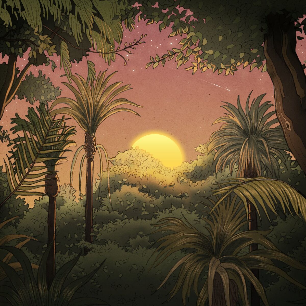 Album cover of Image