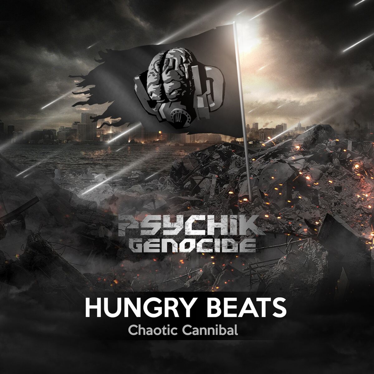 Album cover of Chaotic Cannibal