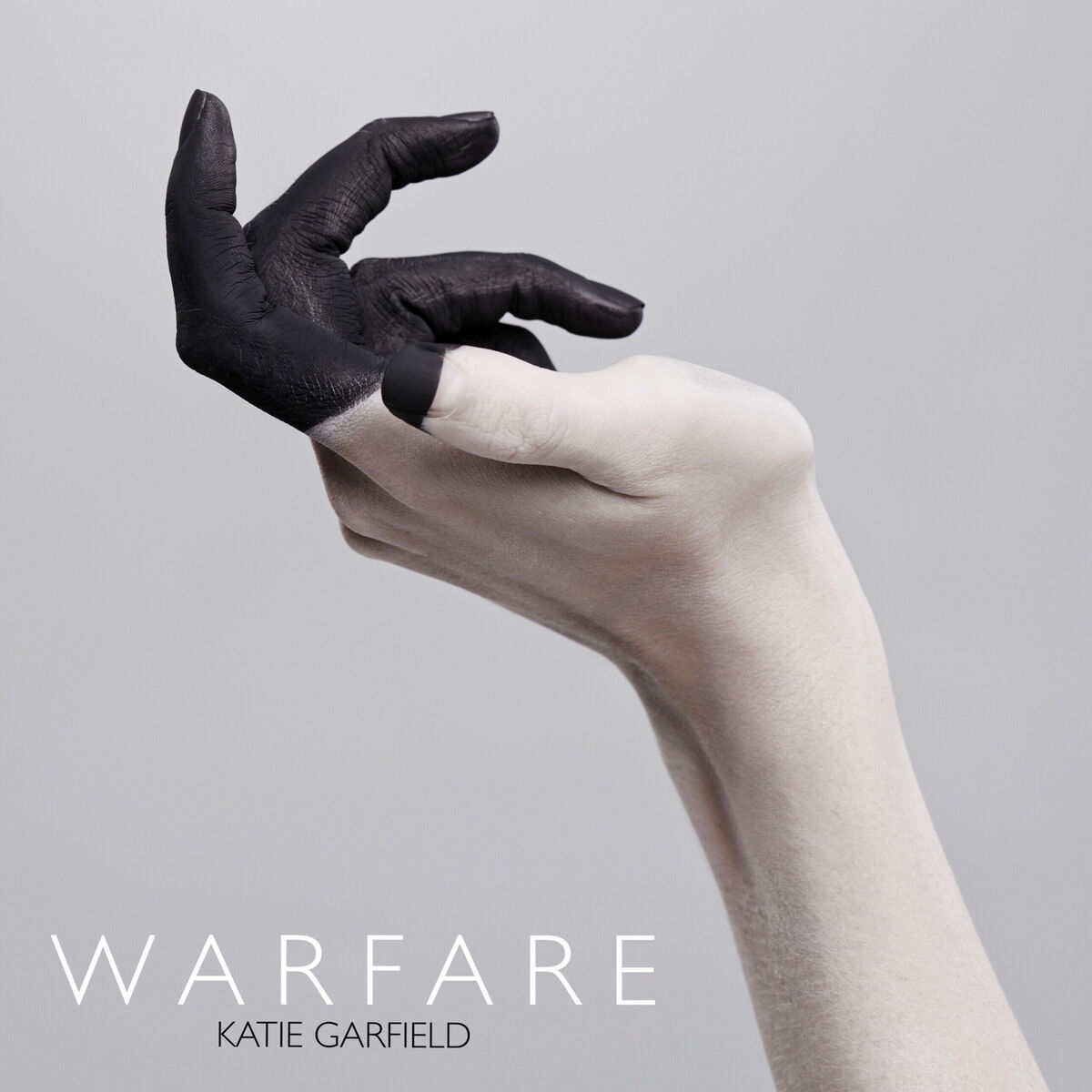 Album cover of Warfare