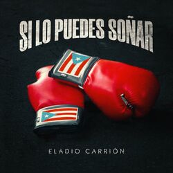 Cover of Si Lo Puedes Soñar