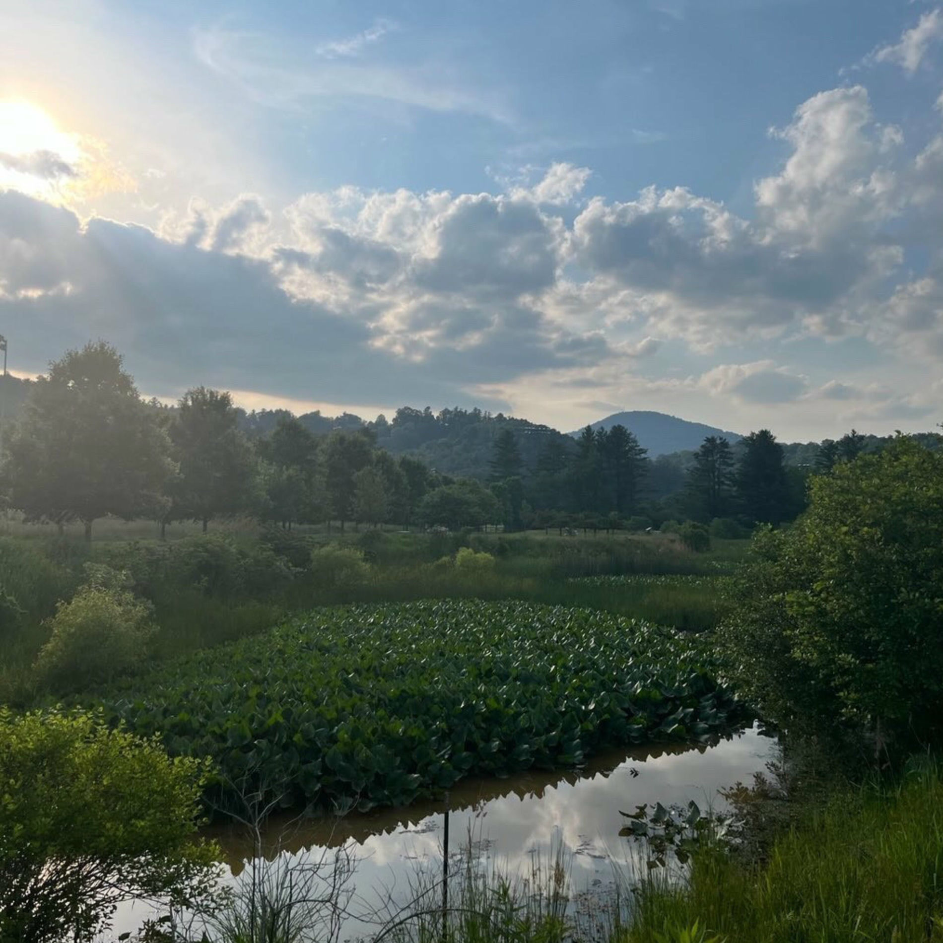 Album cover of move slow