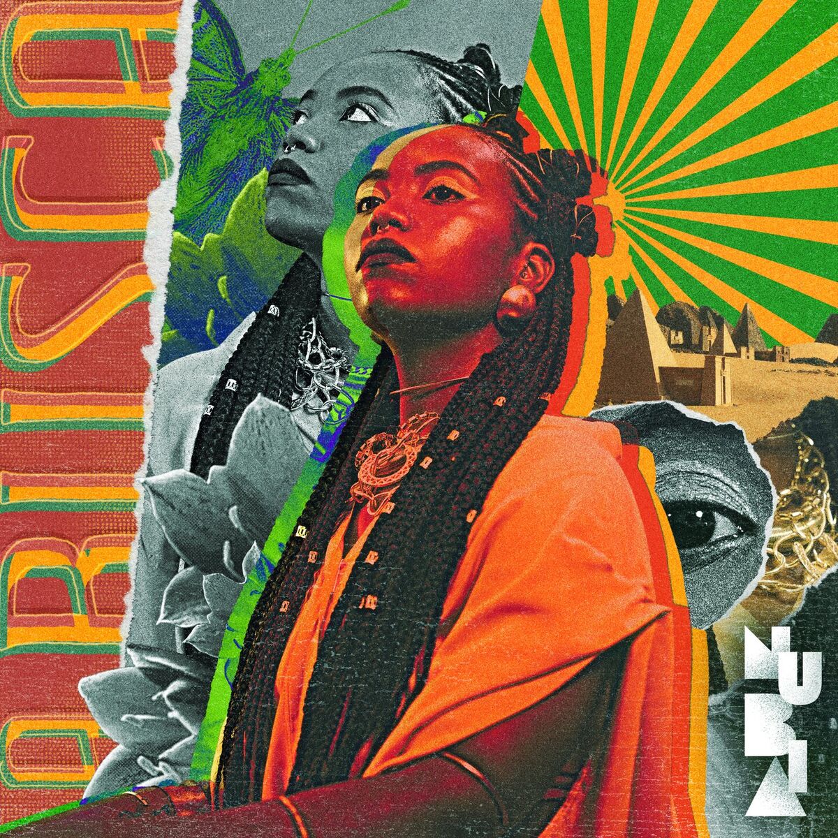 Album cover of A Busca
