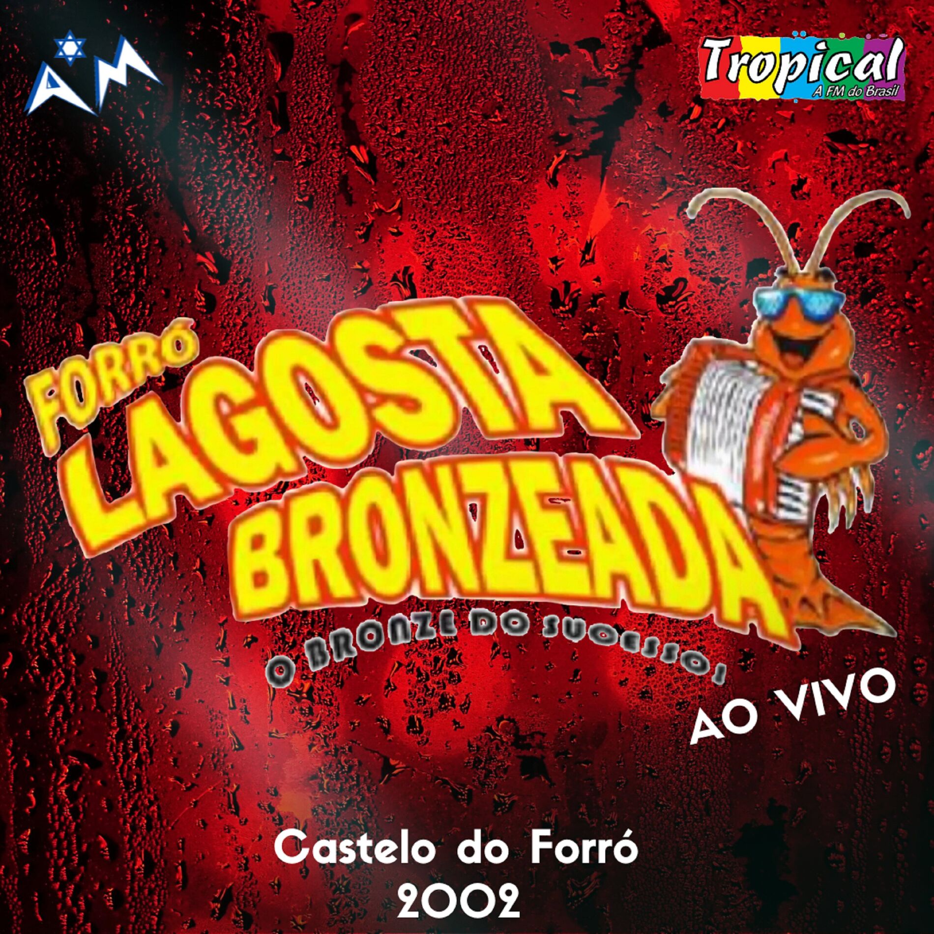 Album cover of O Bronze do Sucesso - Castelo do Forró - 2002 (Ao Vivo)