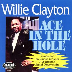 Cover of Ace in the Whole