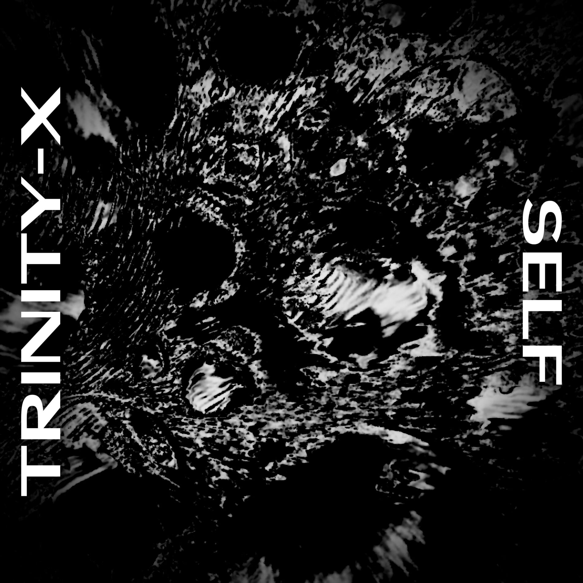 Album cover of Self