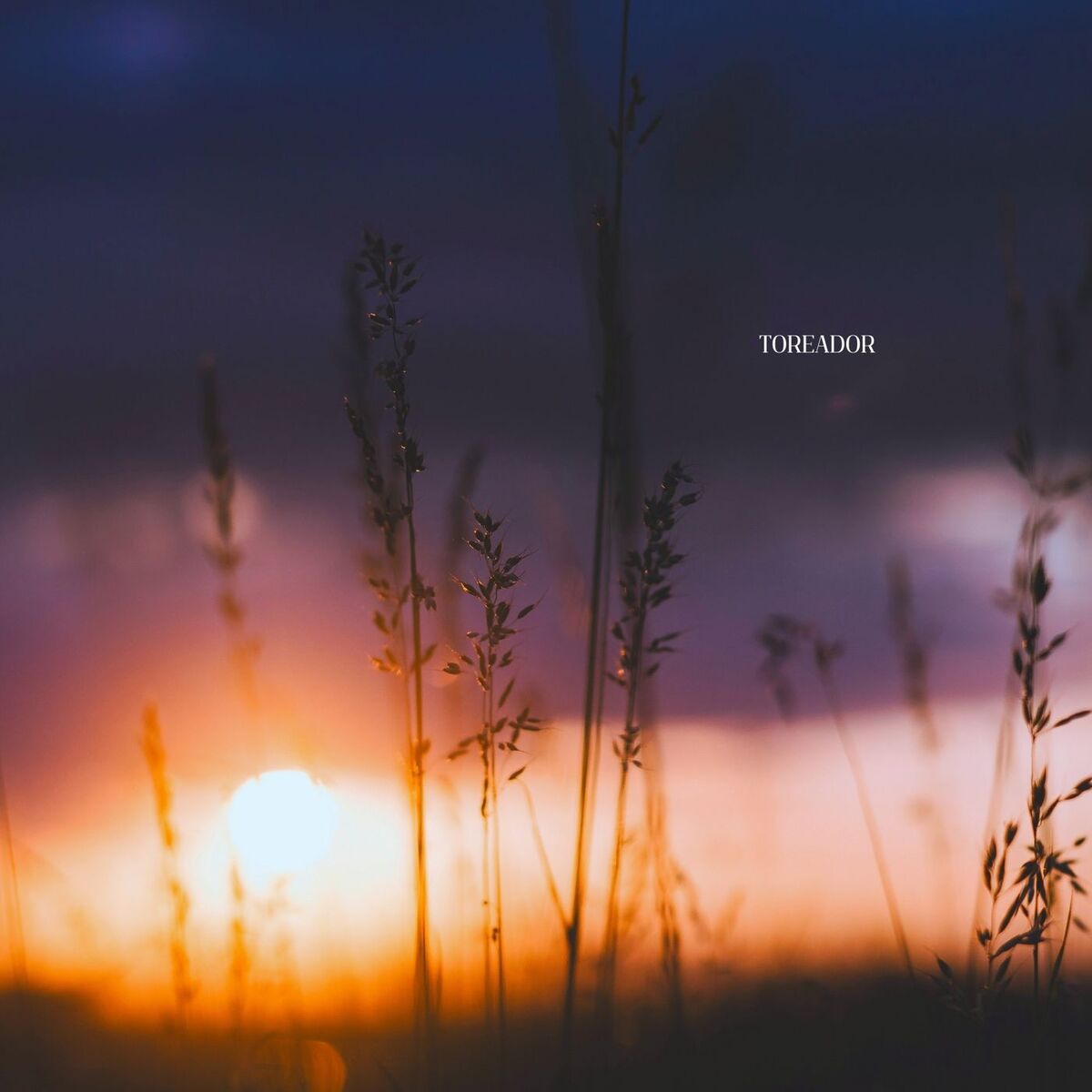 Album cover of Toreador