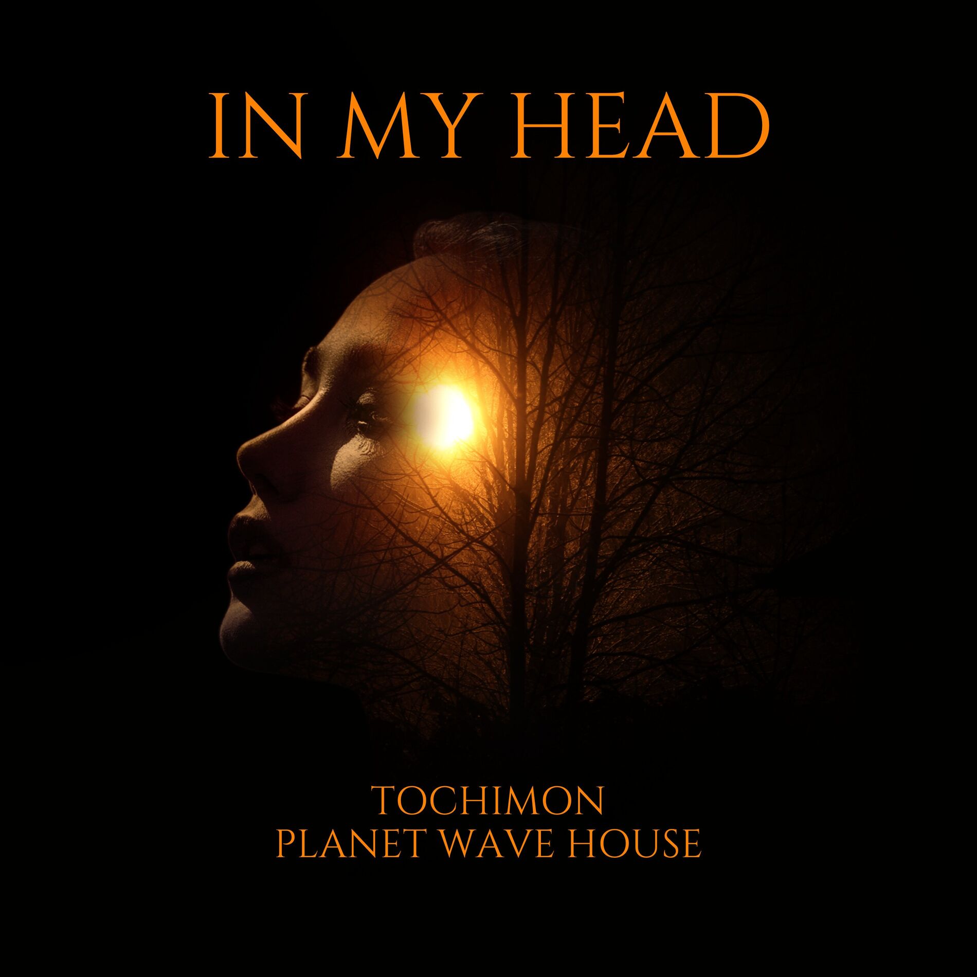 Album cover of In My Head