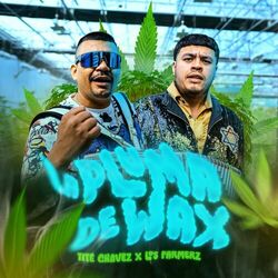 Cover of La Pluma De Wax