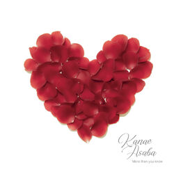 Cover of More Than You Know