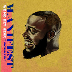 Cover of We No Dey Hear