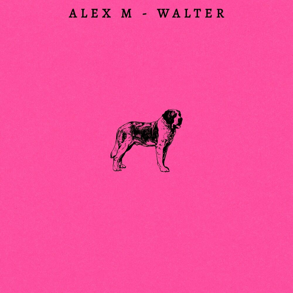Picture of Walter