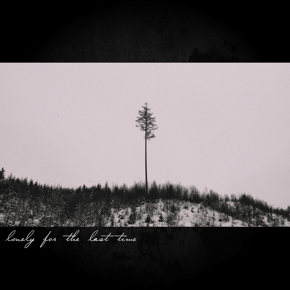 Picture of Lonely for the Last Time