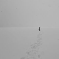 Cover of Thawing