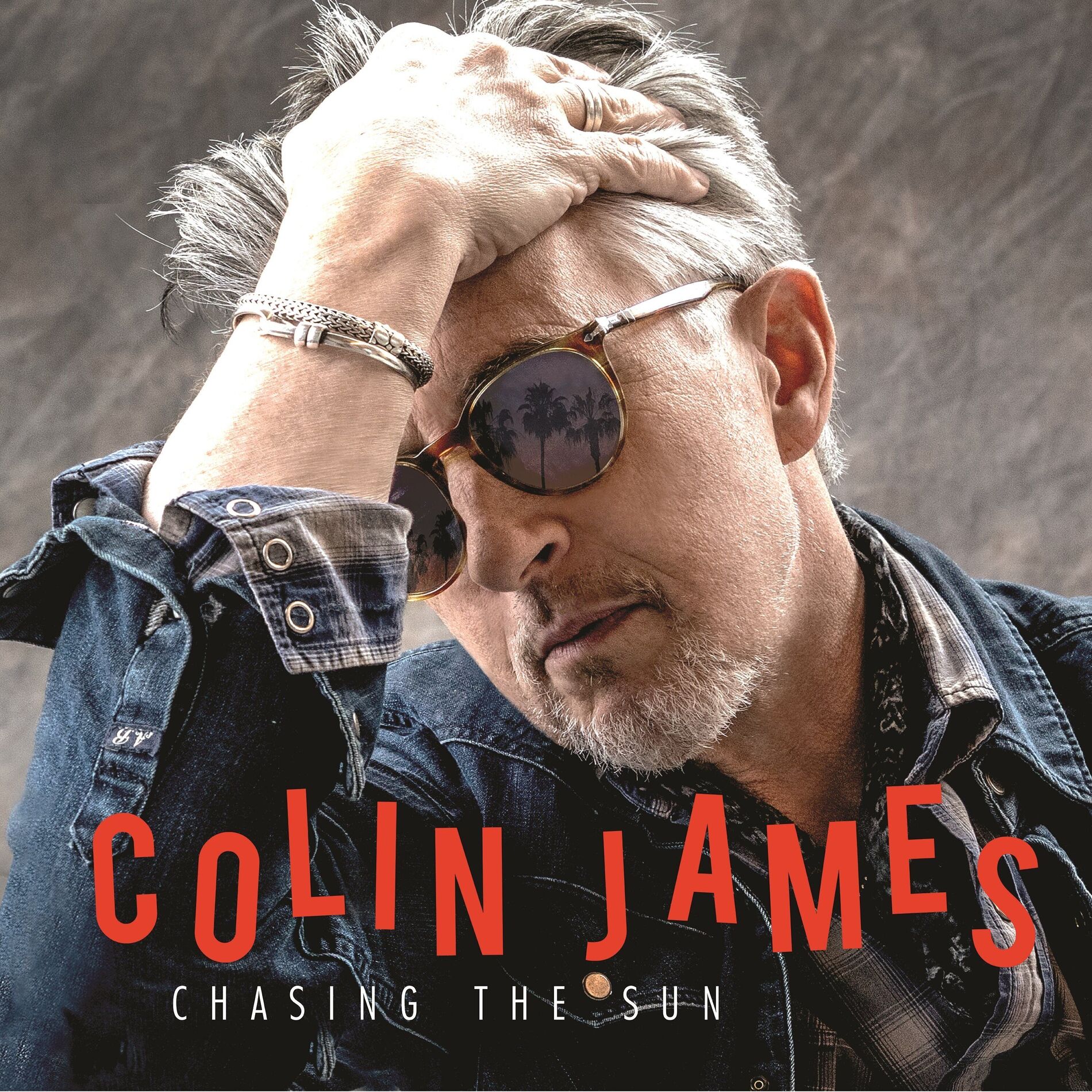 Album cover of Chasing The Sun
