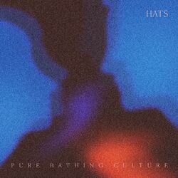 Cover of Hats