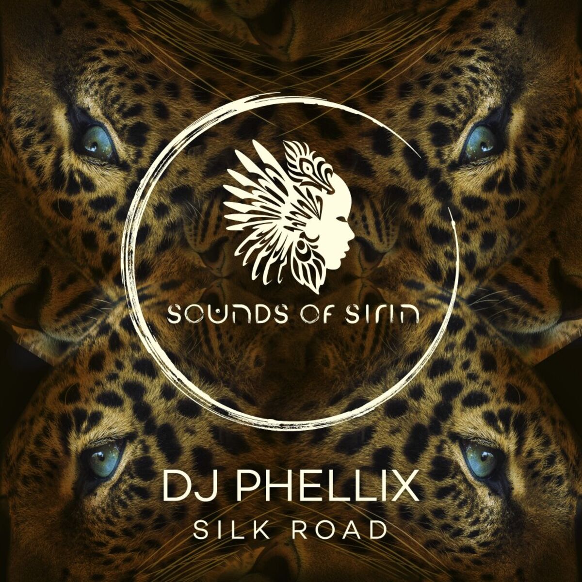 Album cover of Silk Road