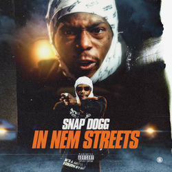Cover of In Nem Streets