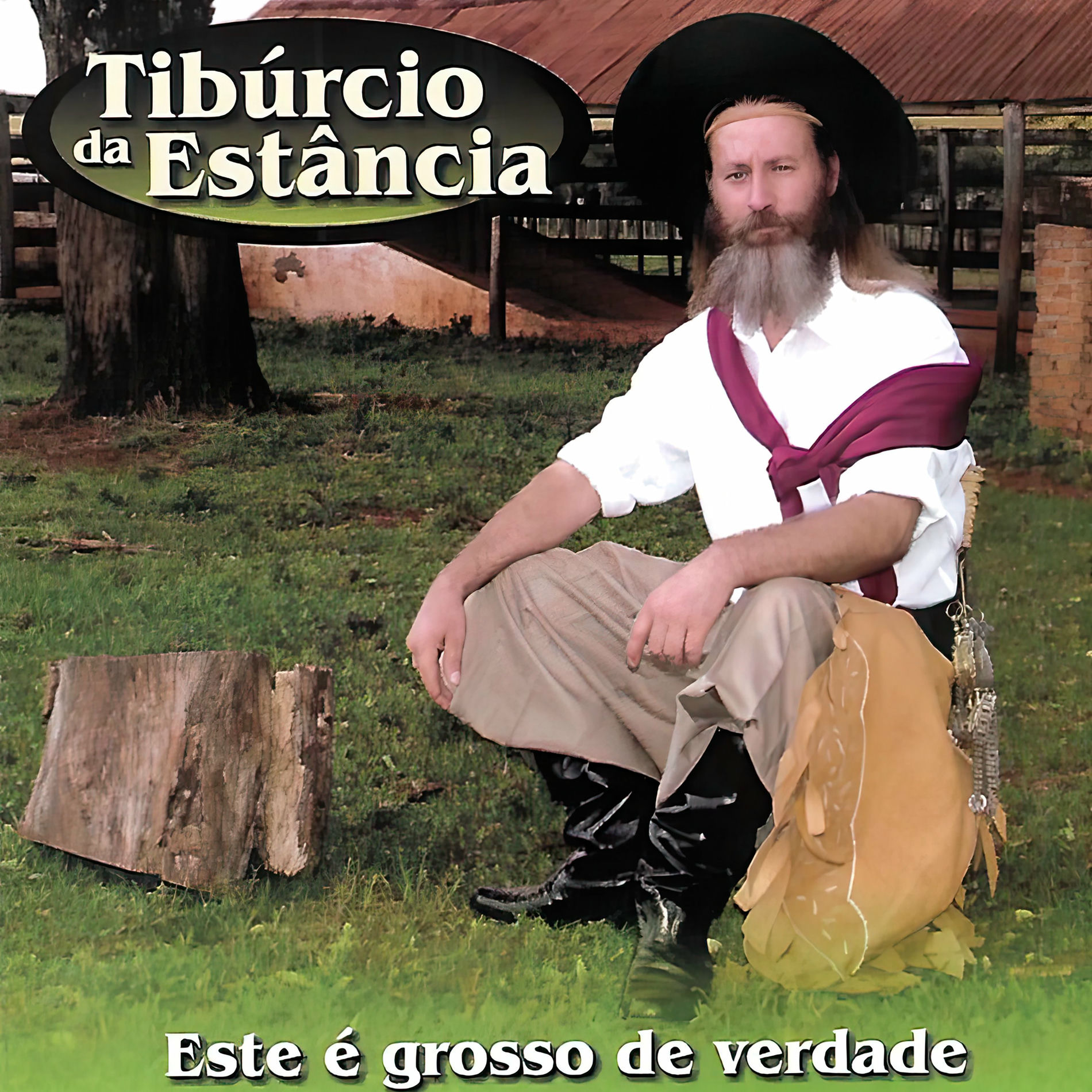 Album cover of Este É Grosso de Verdade