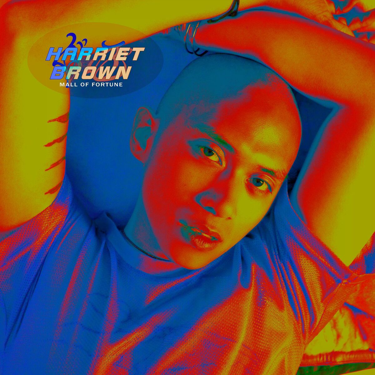 Album cover of Mall of Fortune