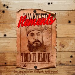 Cover of Trod It Alone