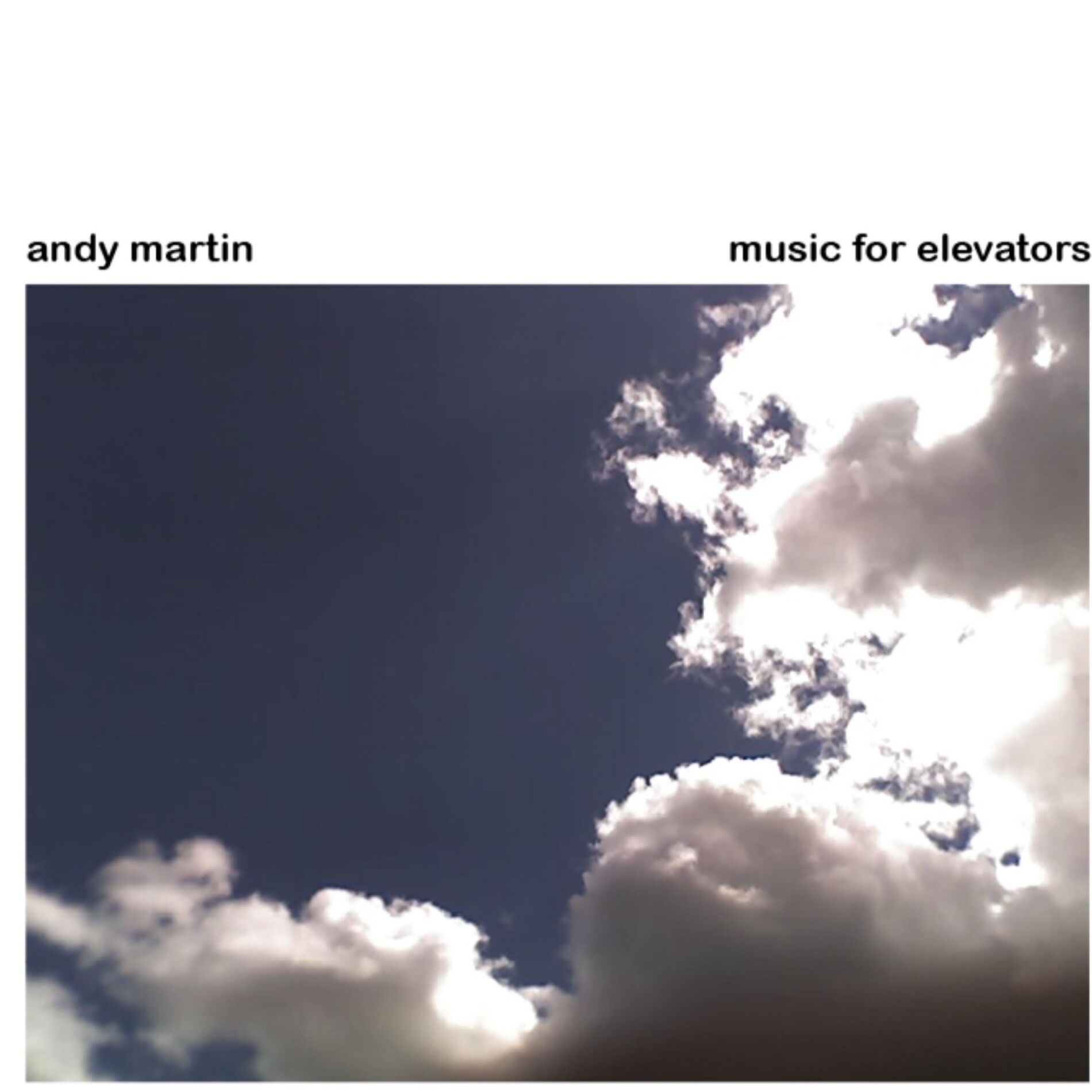Album cover of Music For Elevators