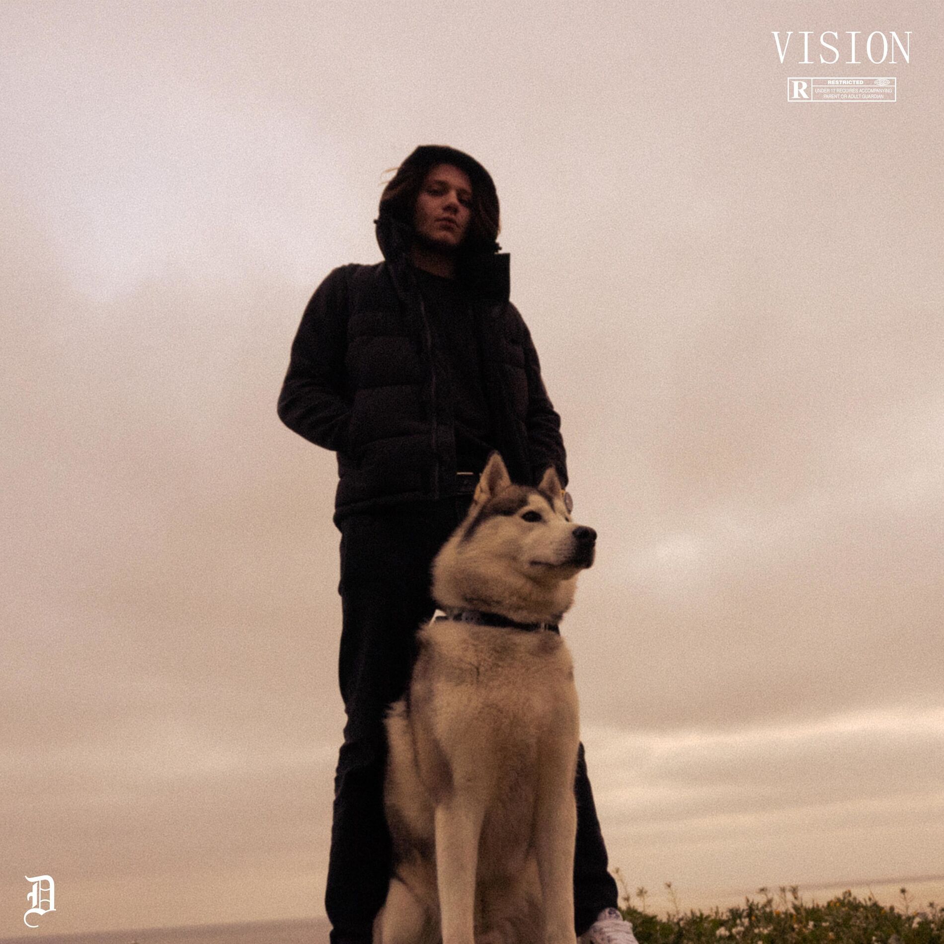 Album cover of VISION