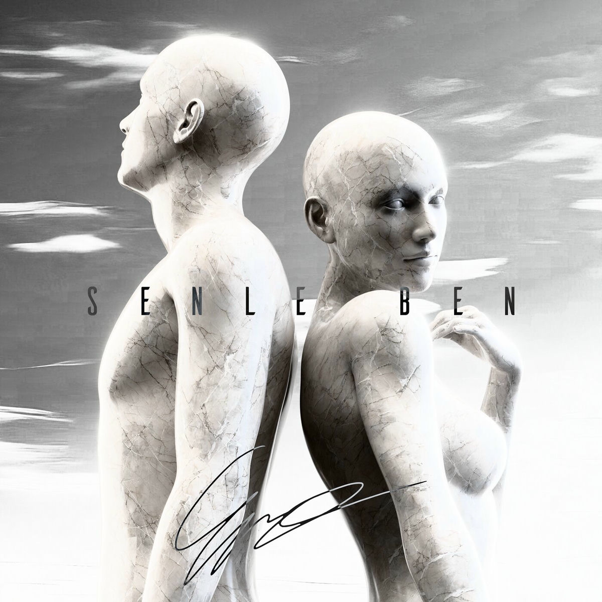 Album cover of Senle Ben