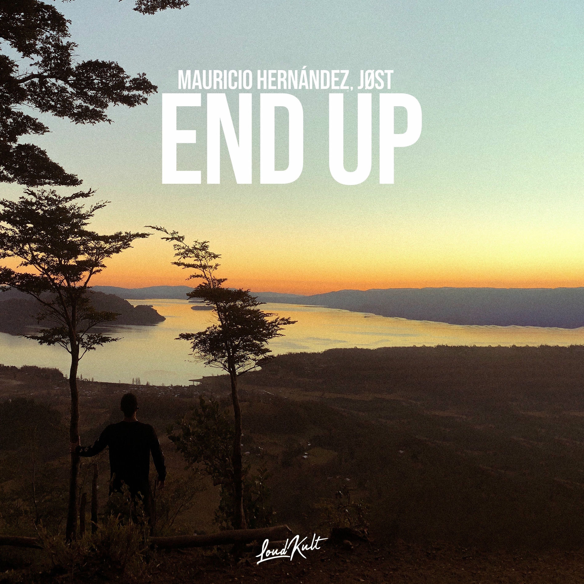 Album cover of End Up