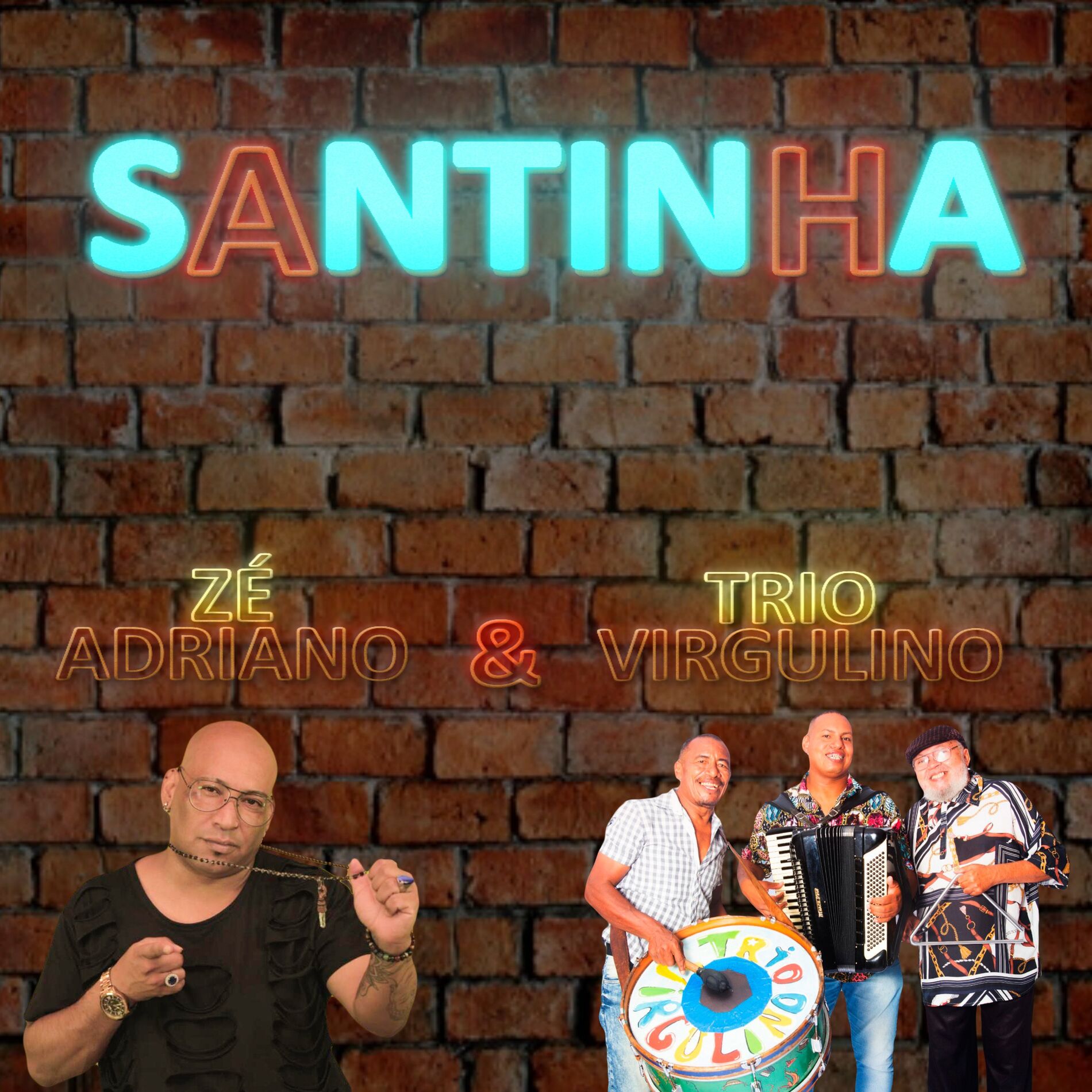 Album cover of Santinha