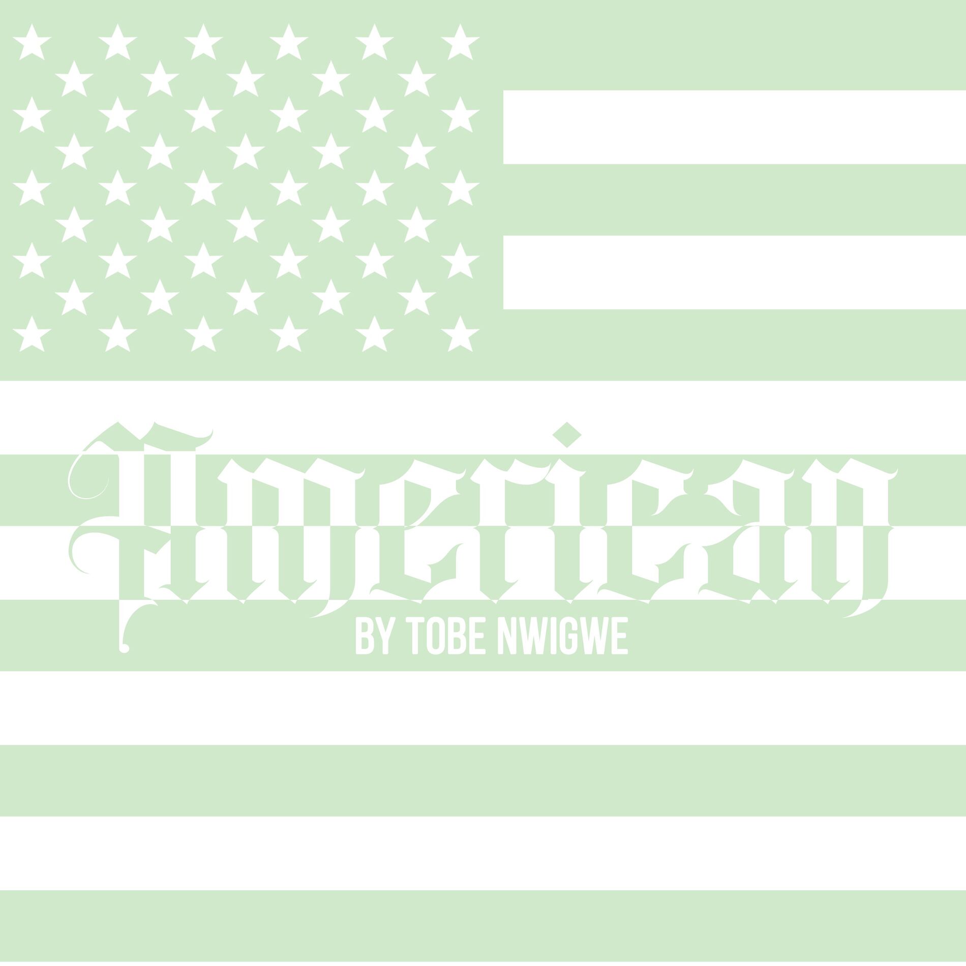 Album cover of American