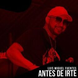 Cover of Antes de Irte