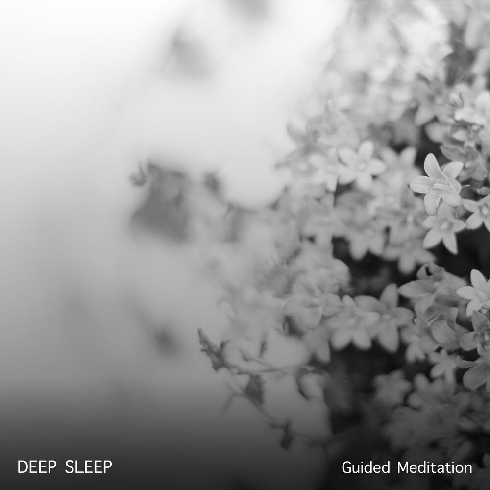 Picture of 15 Guided Meditation Songs: Deep Sleep