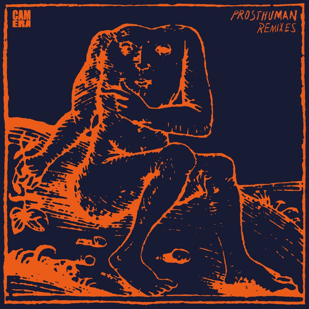 Album cover of Prosthuman Remixes (Remixes EP)