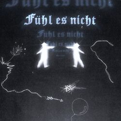 Cover of Fühl es nicht