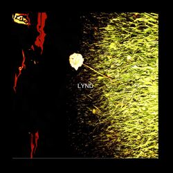 Cover of L.Y.N.D.