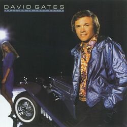 Cover of Falling in Love Again