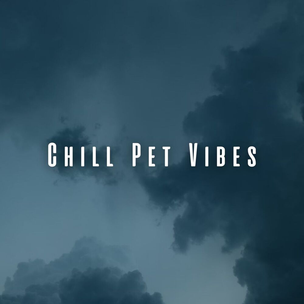 Picture of Chill Pet Vibes: Rainy Day Serenade with Chill Music