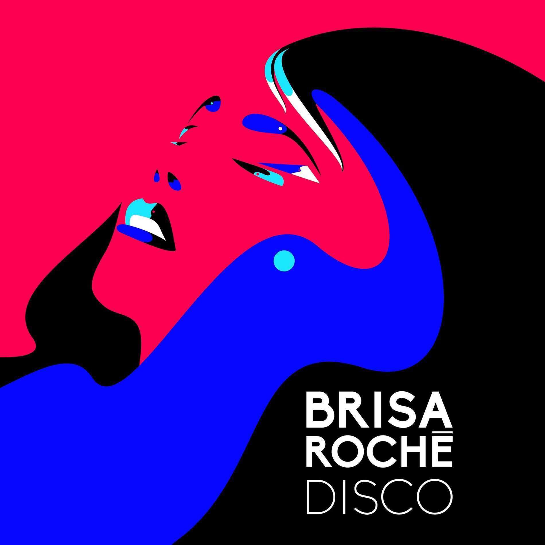 Album cover of Disco