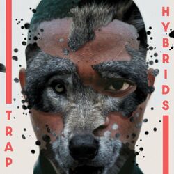 Cover of Trap Hybrids